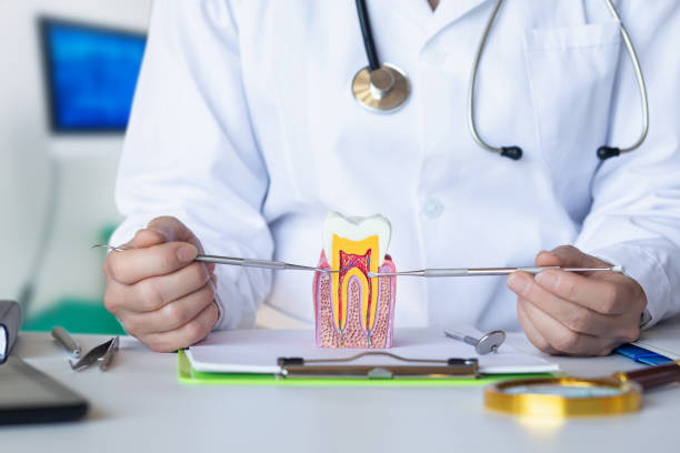 Best Emergency Treatment for Dental Infections or Abscesses in Oroville East, CA